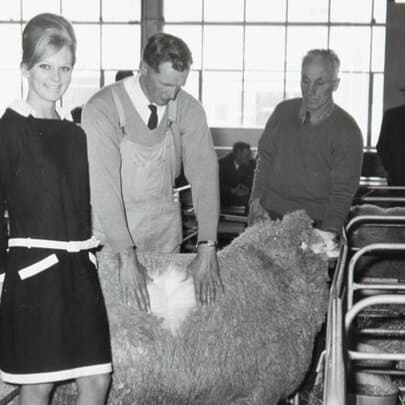 Designing with Wool: Australian Wool Board's Fashion Impact