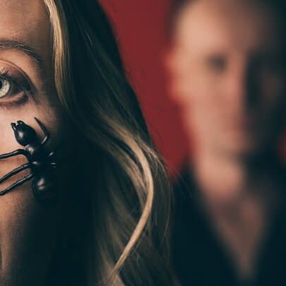 Head | Thorax | Abdomen